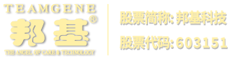 廊坊網(wǎng)站建設(shè)_廊坊網(wǎng)站制作_雨辰網(wǎng)絡(luò)